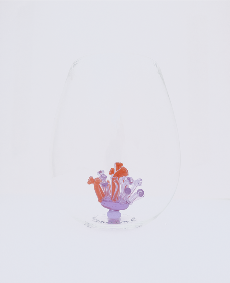 Pipe Coral