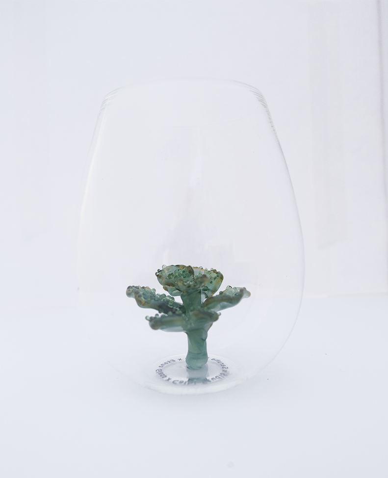 Cabbage
Coral