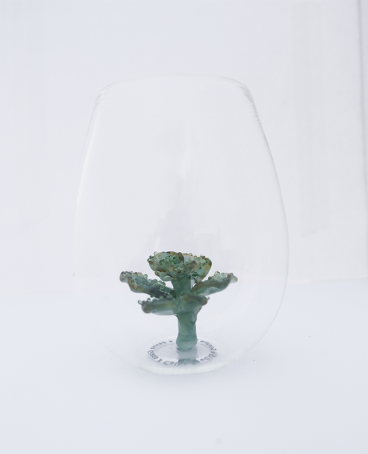 Cabbage 
Coral
