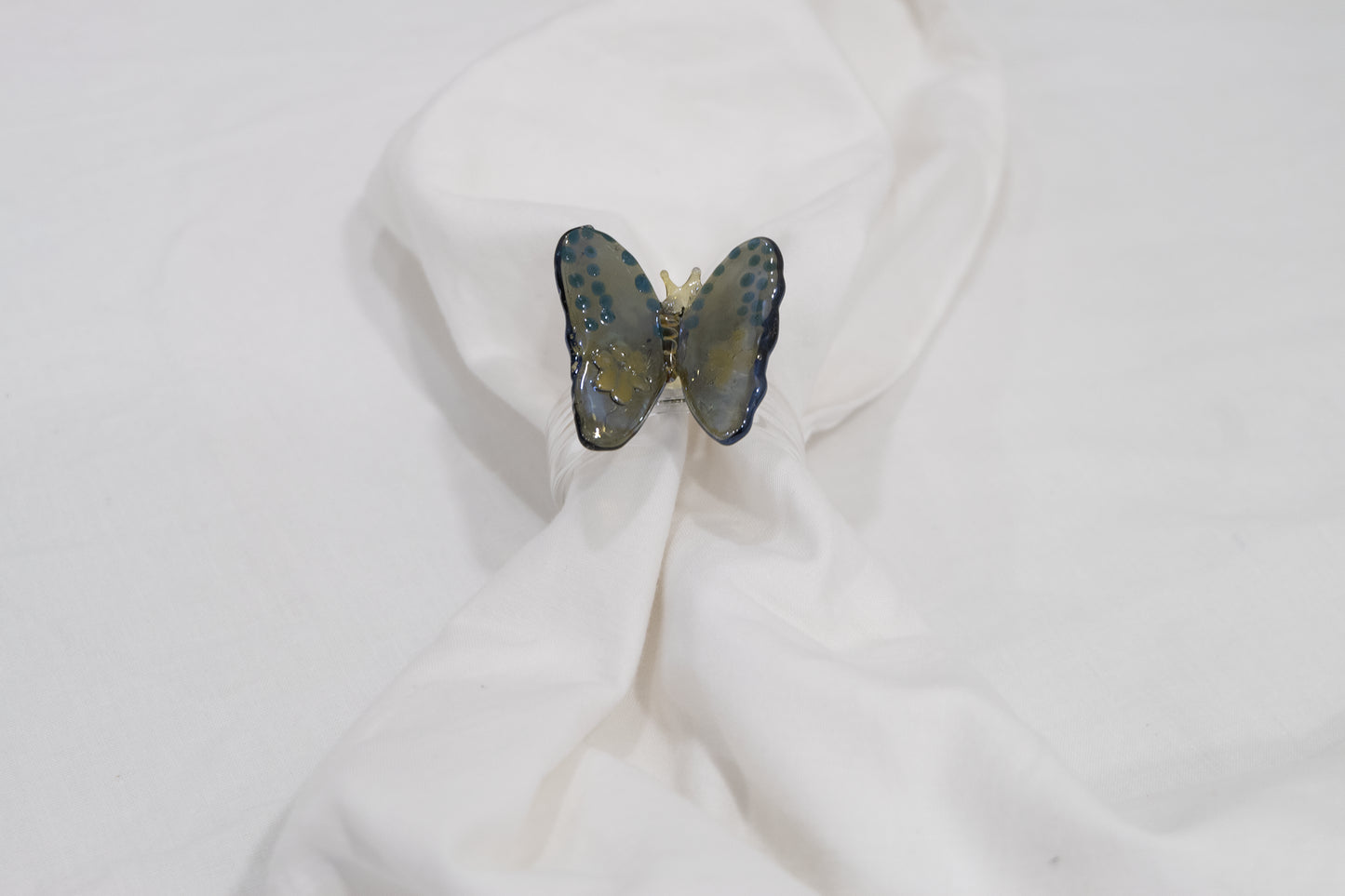 Black Swallowtail Butterfly