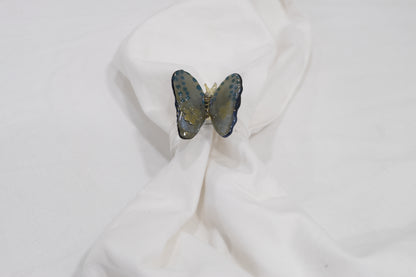 Black Swallowtail Butterfly